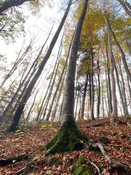 Casa Natur Pur, 85M2 Mit Garten Sauna Fischbachau Dış mekan fotoğraf