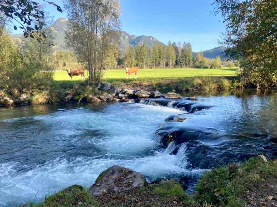 Casa Natur Pur, 85M2 Mit Garten Sauna Fischbachau Dış mekan fotoğraf