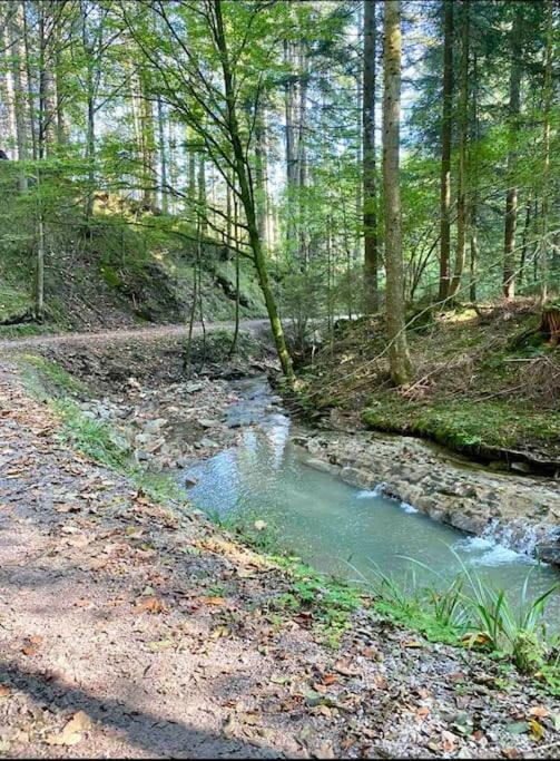Casa Natur Pur, 85M2 Mit Garten Sauna Fischbachau Dış mekan fotoğraf