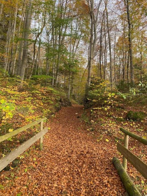 Casa Natur Pur, 85M2 Mit Garten Sauna Fischbachau Dış mekan fotoğraf