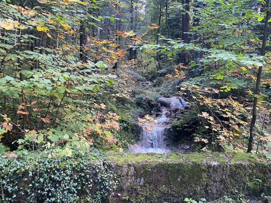 Casa Natur Pur, 85M2 Mit Garten Sauna Fischbachau Dış mekan fotoğraf